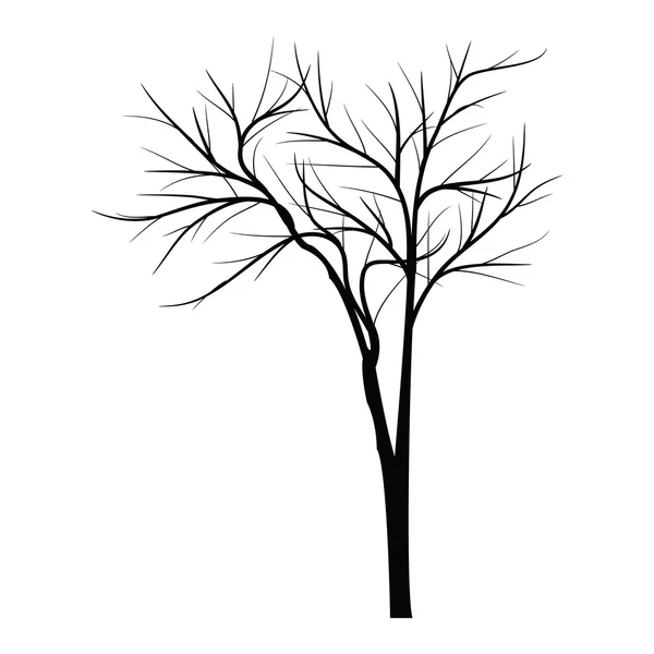 Alberi con ramo morto — Vettoriale Stock