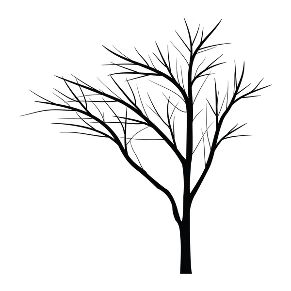 Trees with dead branch — Stock Vector