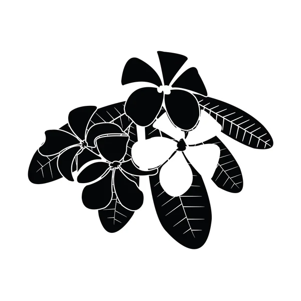 Silhuetas de frangipani para vetor de projeto — Vetor de Stock