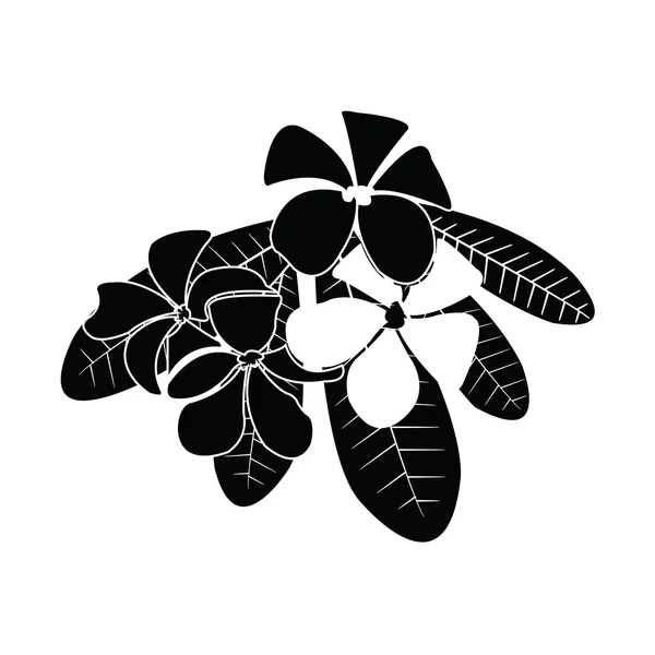 Siluetas frangipani para vector de diseño — Vector de stock