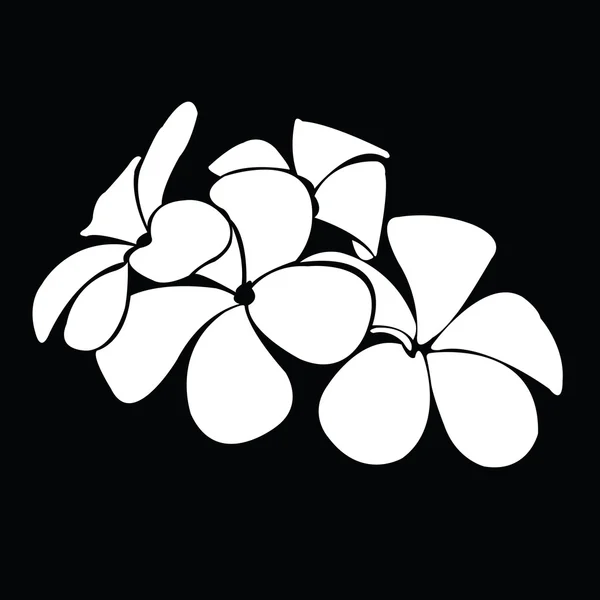 Frangipani siluet tasarlamak vektör için