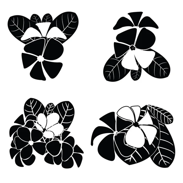 Siluetas frangipani para vector de diseño — Vector de stock