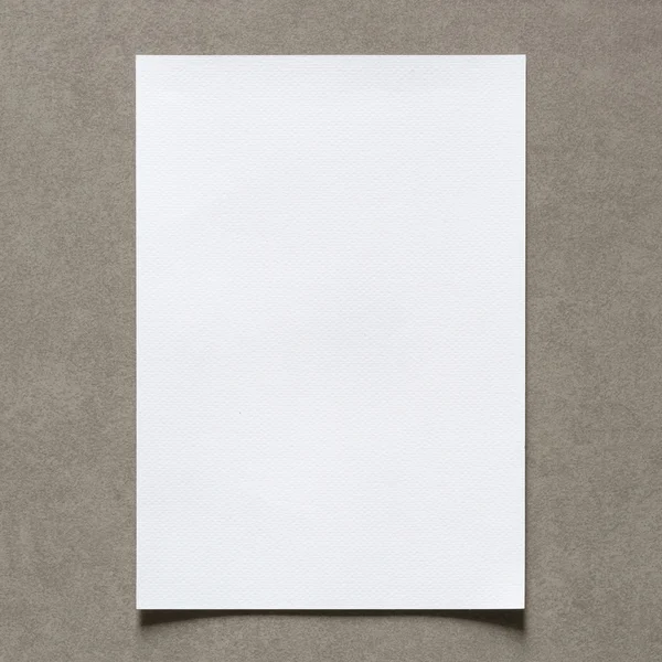 Gros plan de feuille de papier blanc vide avec ombre sur un mur vintage — Photo