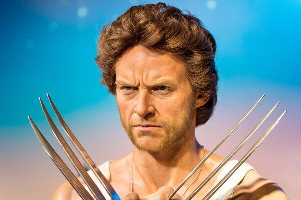 A waxwork of Wolverine on display at Madame Tussauds