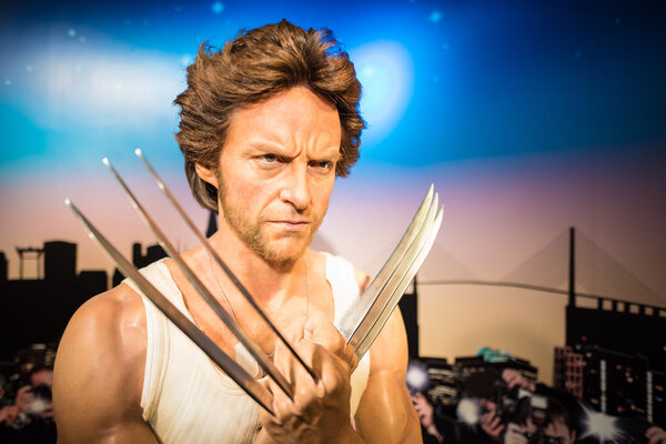 Waxwork of Wolverine on display at Madame Tussauds 