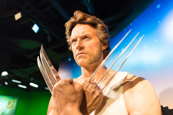 Waxwork of Wolverine on display at Madame Tussauds 