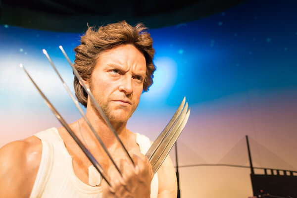 Waxwork of Wolverine on display at Madame Tussauds 