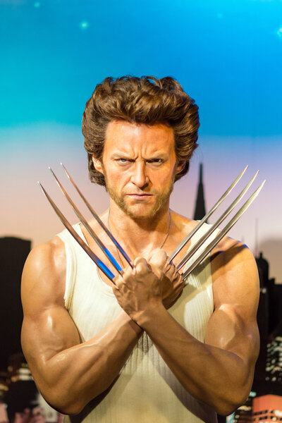 A waxwork of Wolverine