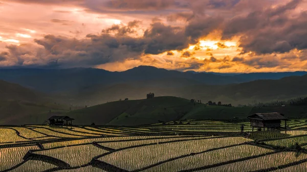 Impresionante cielo atardecer sobre Terraced Rice Field en Chiangmai norte — Foto de Stock