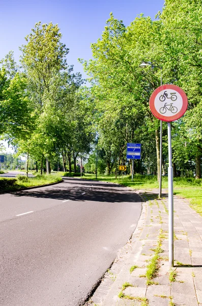 Road with tropical tree and fresh air in the Netherlands — Stockfoto