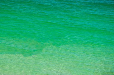 Waving water surface of the sea background