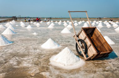 Kimliği belirsiz işçi tuz tuz çiftliğinde Mart 07, 2010 Chonburi Tayland'da taşıyor. Chonburi Tayland ana sanayi alanındadır