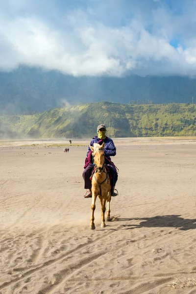 Jeździec na górze Bromo, czynny wulkan jest jednym z najczęściej odwiedzanych atrakcji turystycznych na może 05,2013 w East Java, Indonezja. — Zdjęcie stockowe