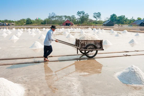 正体不明の労働者はチョンブリ タイで 2010 年 3 月 7 日に塩田で塩を運ぶします。チョンブリ、タイの主要な工業地帯 — ストック写真