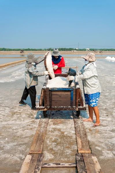 Niet-geïdentificeerde werknemers die zout op zout boerderij op maart 07, 2010 in Chonburi, Thailand. Chonburi is het belangrijkste industriegebied in Thailand — Stockfoto