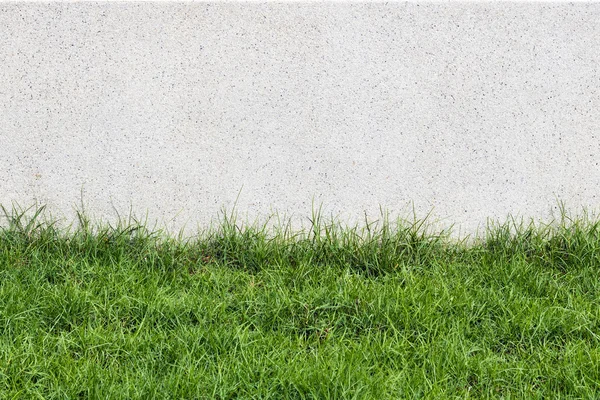 Steinmauer und Flora mit Gras in Gartendekoration für modernes Bauen — Stockfoto