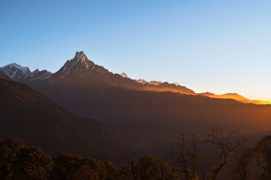 Machapuchare veya Fishtail tepe gündoğumu gökyüzü ile. o bir Kuzey Merkez Nepal Annapurna Dharma dağıdır.