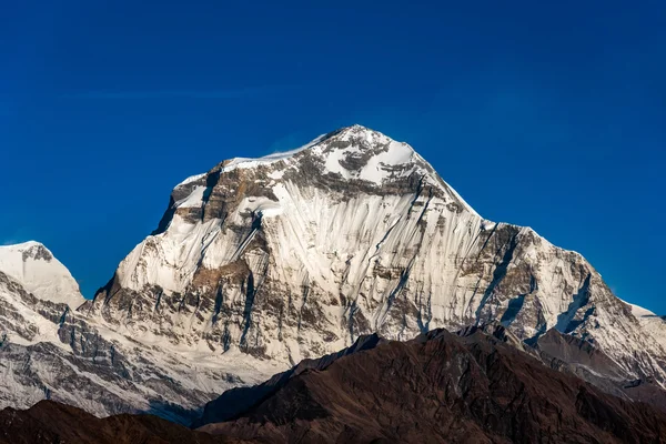 Dhaulagiri mountain peak view from Poon Hill at Nepal. — Stock Photo, Image