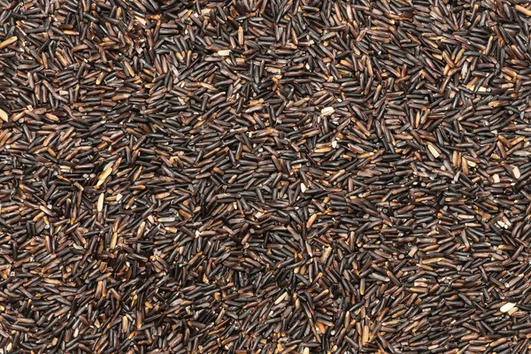 Primer plano de un fondo de textura de arroz con arándanos — Foto de Stock