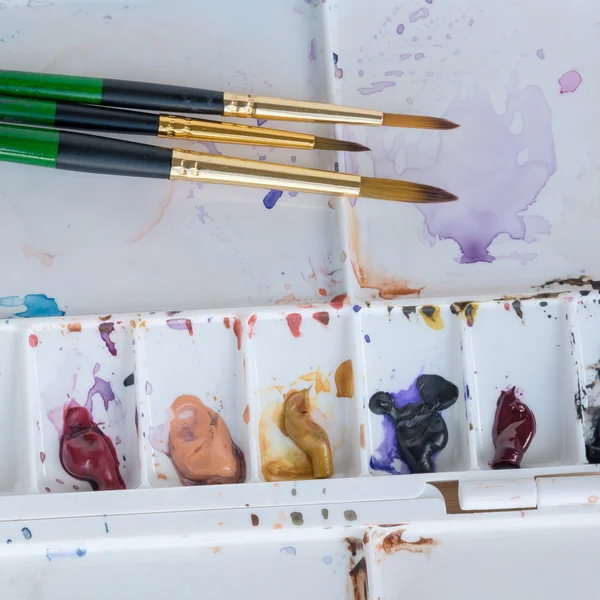 Water clot painting brushes on multi colours paint tray