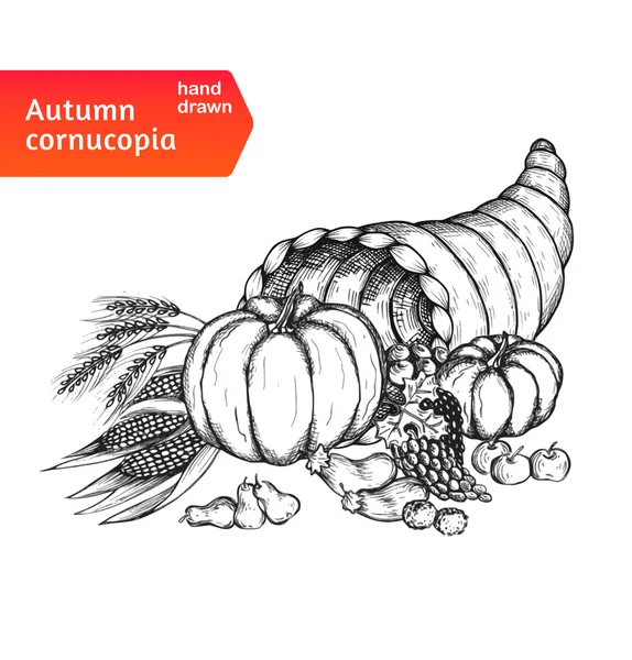 Cornucopia. Corno d'abbondanza con i simboli del raccolto autunnale — Vettoriale Stock