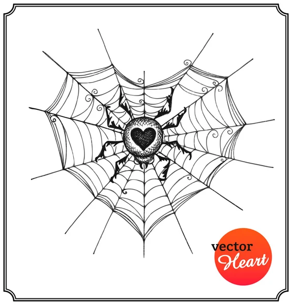 Spider and web in form of heart — Stock Vector