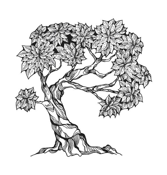 Knorriger Baum mit Blättern — Stockvektor