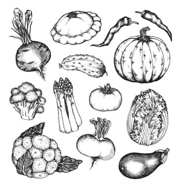 Organik doğal sebze seti