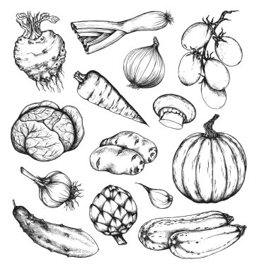 Organik doğal taze sebze seti