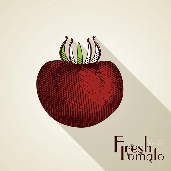 Pomodoro disegnato a mano — Vettoriale Stock