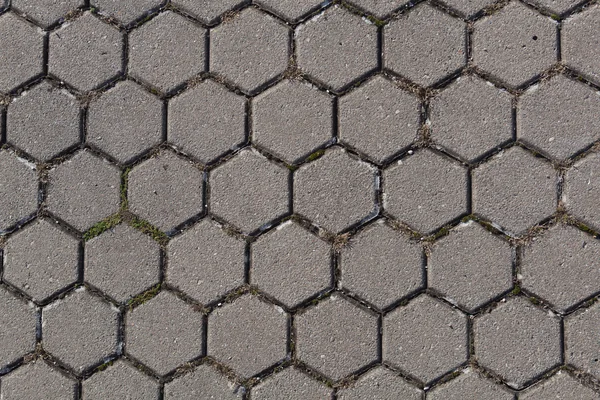 Pavimentos hexogonales — Foto de Stock