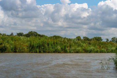 Friesland, Aşağı Saksonya, Almanya 'da mavi gökyüzünde kamış ve dramatik bulutlarla dolu bir lağım manzarası