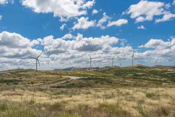Rüzgâr türbinleri, yeşil ot tarlaları ve kirli yollarla kaplı bulutlu bir gökyüzü manzarası