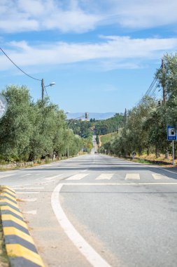 Asfalt yol manzarası bitki örtüsüyle çevrili, yan taraflarda zeytin ağaçları ve arka planda Serra da Estrela dağı...