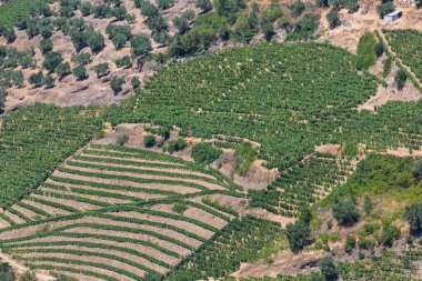 Portekiz 'in kuzeyindeki dağlık arazilerin tipik hava manzarası, üzüm bağları ve zeytin ağaçları için tarım seviyeleri...