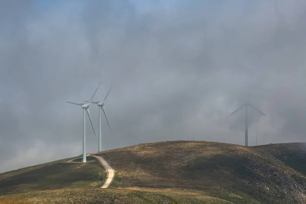 View of a wind turbines with fog on top of mountains landscape, some wind turbines hidden by fog...