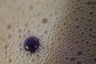 Arpa kahvesi köpüğündeki baloncukların detaylı görüntüsü...