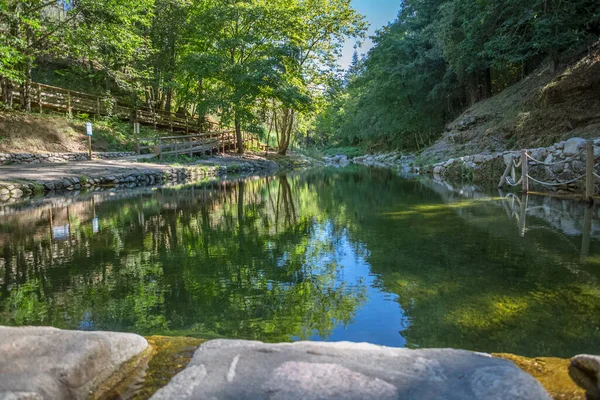 Veduta Paesaggio Con Alberi Fiume Foresta Sulle Rive Sul Parco — Foto Stock