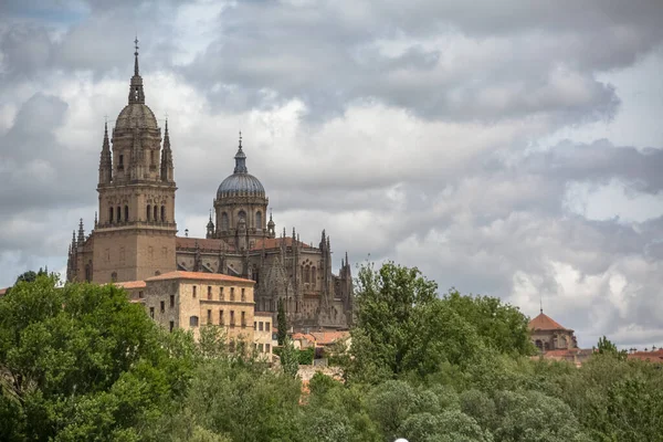 萨拉曼卡 西班牙 2021年12月5日 萨拉曼卡大教堂 塔楼和圆顶的哥特式建筑及其周围植被的壮丽景观 — 图库照片
