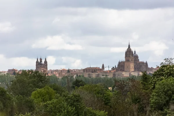 Salamanca Spain 2021 Majestic View Gothic Building Salamanca Cathedral Towers — Stock Photo, Image