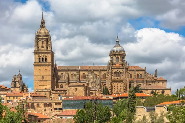 Salamanca Spain 2021 Majestic View Gothic Building Salamanca Cathedral Tower — Stock Photo, Image
