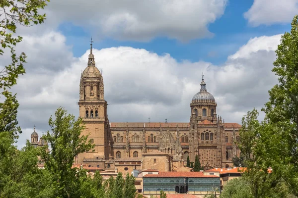 Salamanca Spain 2021 Majestic View Gothic Building Salamanca Cathedral Tower — Stock Photo, Image