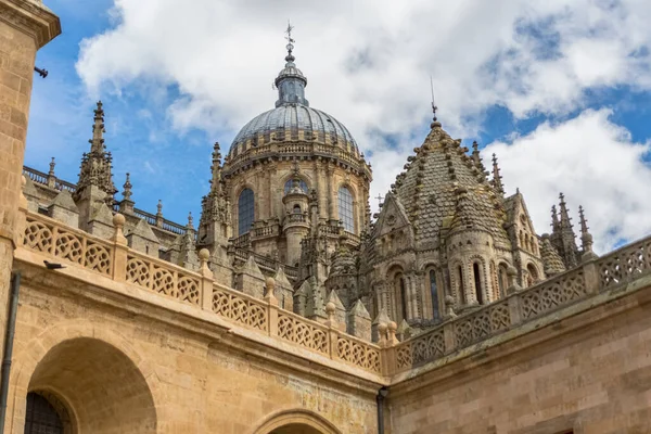 Salamanca España 2021 Majestuosa Vista Los Detalles Edificio Ornamentos Góticos — Foto de Stock