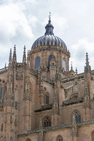 Salamanca / İspanya - 05 12 2021: Salamanca katedrali, ana cephe ve kule kubbesindeki gotik süs binasında görkemli detay görünümü