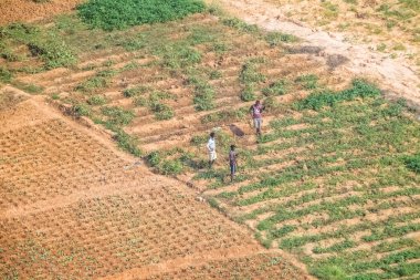 Luanda / Angola 06 10 2021: Geleneksel tarım için geleneksel çiftçilerin Angola, Afrika 'da farklı arazilerle toprağı işlediği havadan tarım manzarası