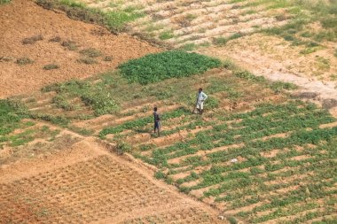 Luanda / Angola 06 10 2021: Geleneksel tarım için geleneksel çiftçilerin Angola, Afrika 'da farklı arazilerle toprağı işlediği havadan tarım manzarası