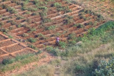 Luanda / Angola 06 10 2021: Geleneksel tarım için Angola, Afrika 'da farklı arsalarla toprağı eken geleneksel çiftçilerle birlikte tarım arazilerinin havadan görüşü