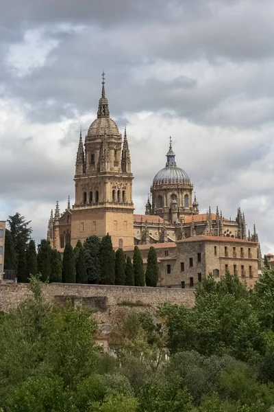 Salamanca Espanha 2021 Vista Majestosa Edifício Gótico Cúpula Torre Catedral — Fotografia de Stock