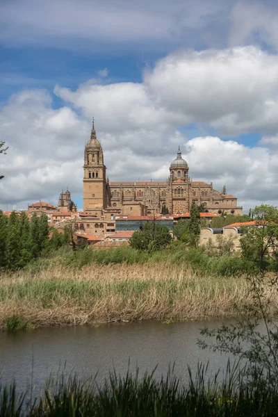 Salamanca Espanha 2021 Vista Majestosa Edifício Gótico Cúpula Torre Catedral — Fotografia de Stock