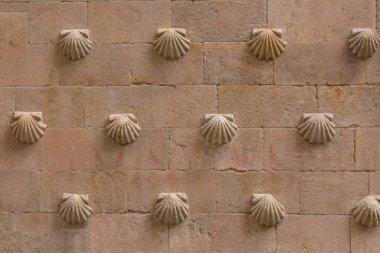 Mimari dokular, Salamanca 'daki Casa de las Conchas, deniz kabuğu evindeki geleneksel desen dokusu duvarının detaylı görünümü....